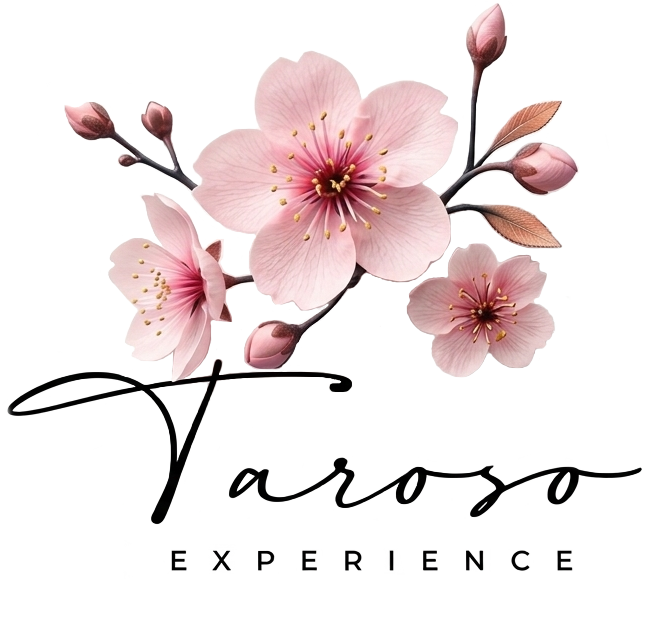 logo de website